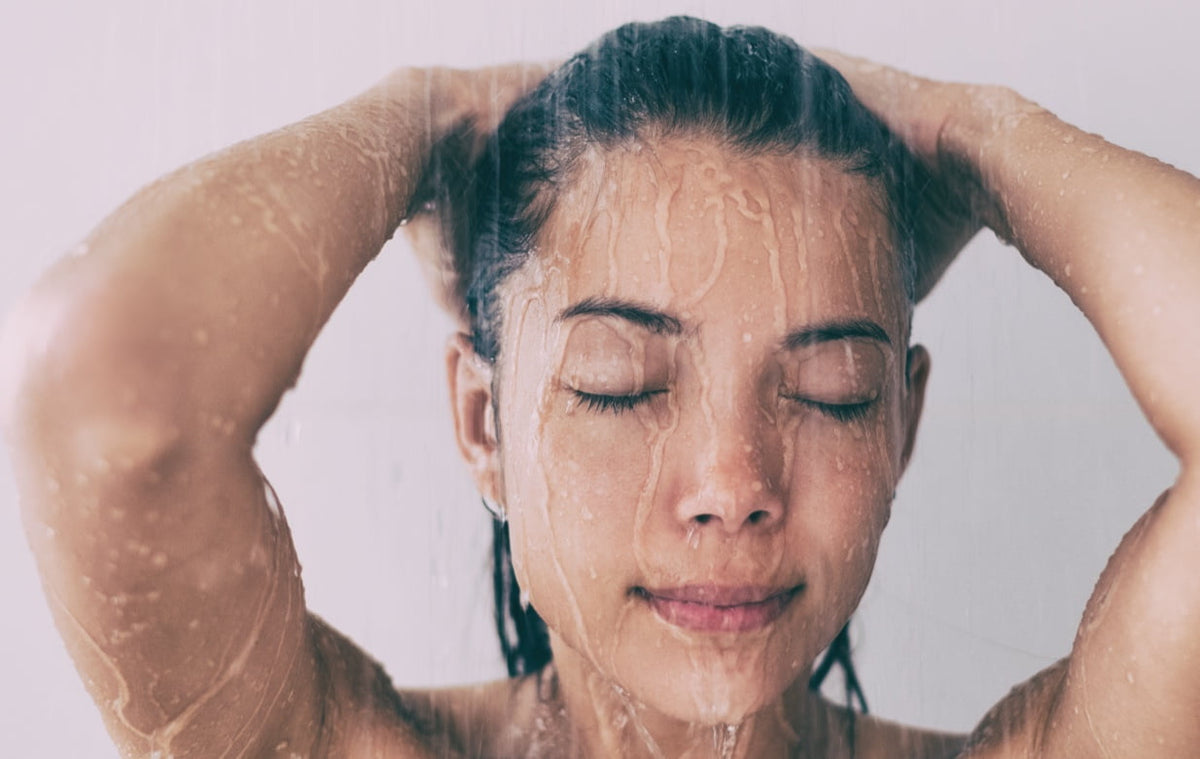 Premium Whole House Filtration Home Filter Experts